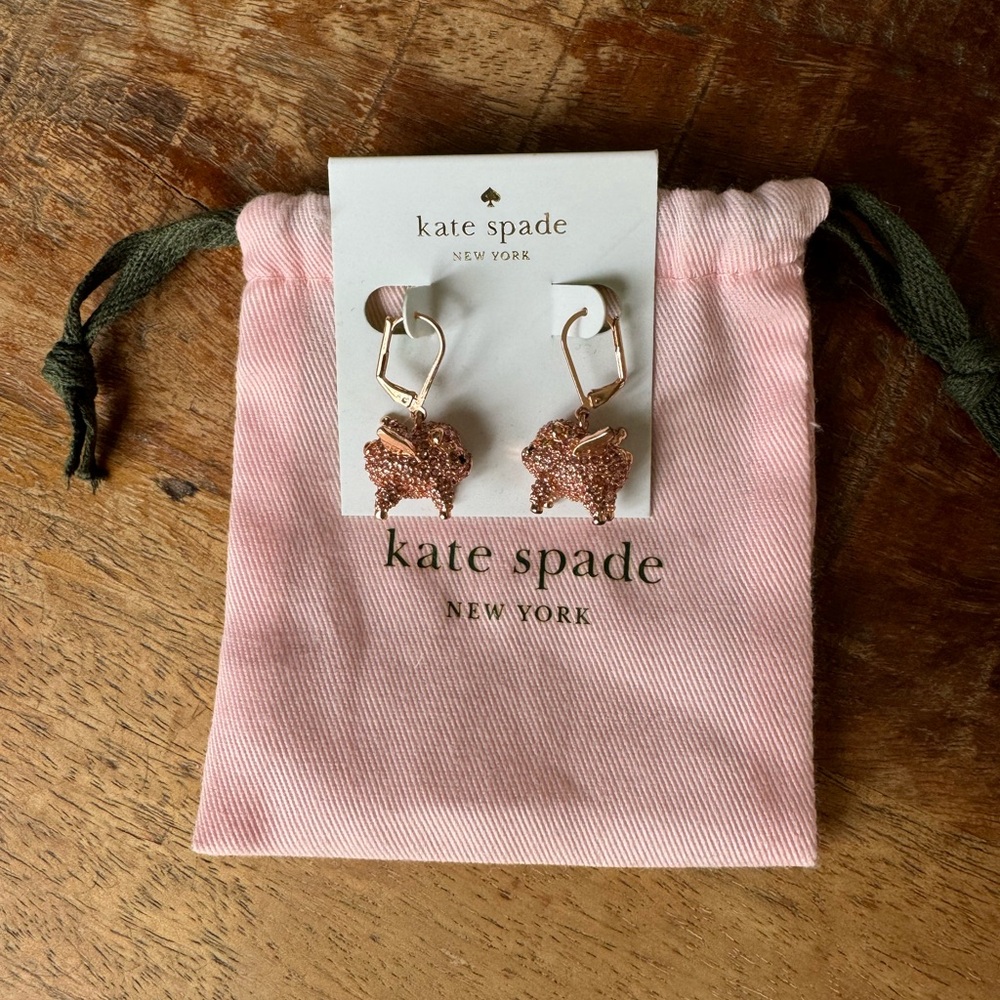 Kate Spade When Pigs Fly earrings 🩷 with rose gold